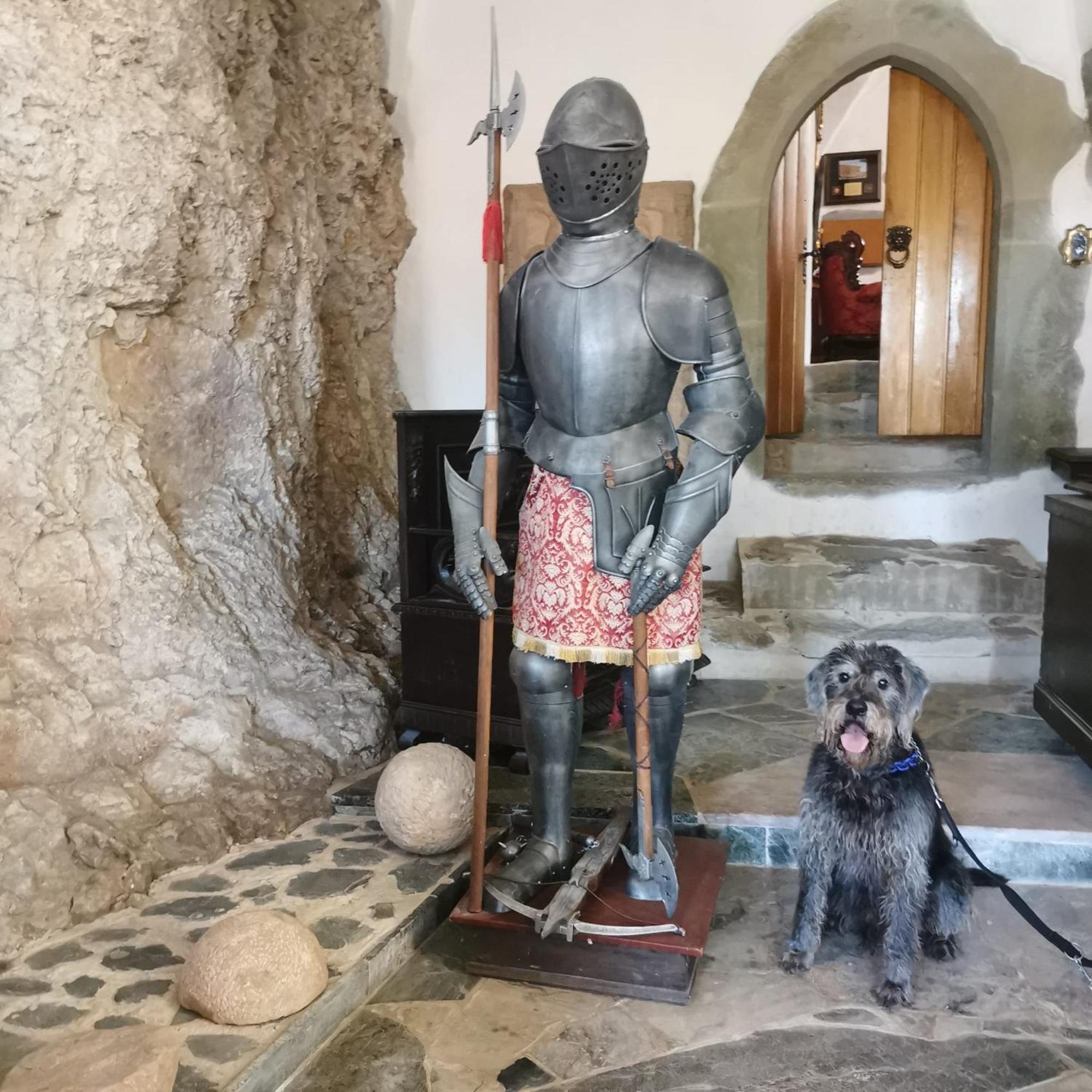 Burg Hermannstein - Monks Room Wetzlar Extérieur photo